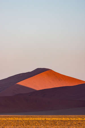 Dune 45 in Namib Naukluft Desert at sunrise, Namibia, Southern Africaの写真素材