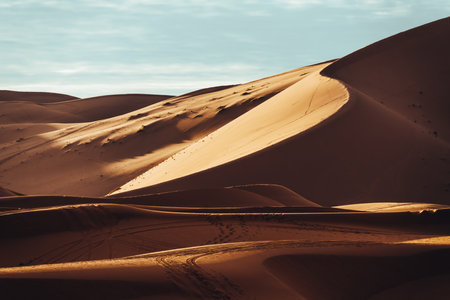 A view of desert dunes in the Sahara desert, Moroccoの写真素材