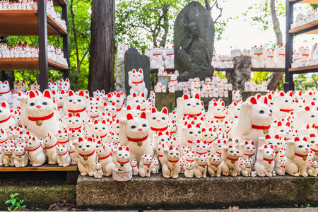 Gotoku-ji temple and Maneki-Neko cat shaped figurinesの写真素材