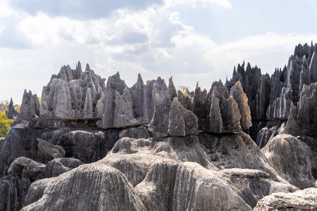 Tsingy de Bemaraha, Madagascar: Unique rock formations.の写真素材