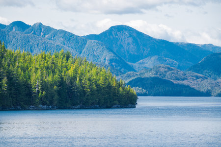Lush forest meets calm waters beneath towering mountains in a serene landscapeの写真素材