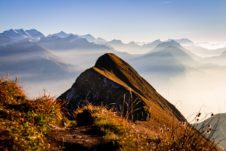 Panorama over the Swiss alps in the Bernese Oberland. Overlooking the scenery from the Augstmatthornの写真素材