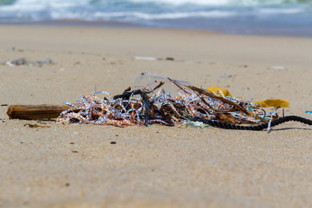 Beach pollution, plastic and waste from ocean on the beach.の写真素材