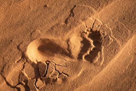 The red sand dunes in Mui ne, Vietnam is popular travel destination with long coastline.の写真素材