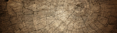 Panoramic Old grunge textured wooden background. wooden background texture surface. wood planks...