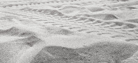 Footprints and vehicles on the soft sand beachの写真素材