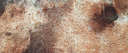 Texture of old concrete wall for background. abstract for background Wall texture