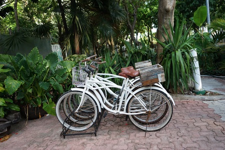 Bicycle rack in Mexicoの写真素材