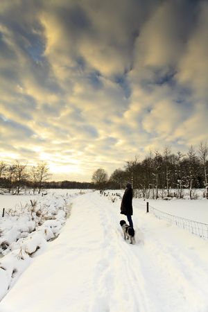 Woman and dog on a snowy trail looking at the strong clouds at sunsetの写真素材