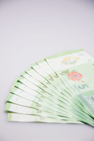 RM5 Ringgit Malaysia Bank Note with focus on big red flower