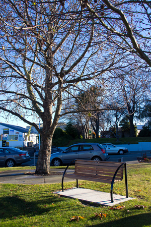 Bench under the tree at autumnの写真素材