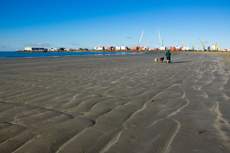 A guy walking with 2 dogs on the beach at Timaru with blue skyの写真素材