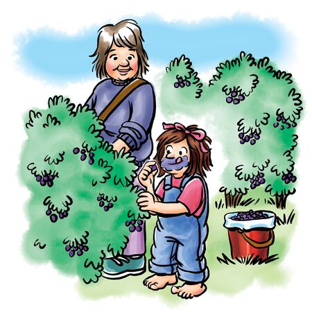 Grandmother picking berries with girlの写真素材