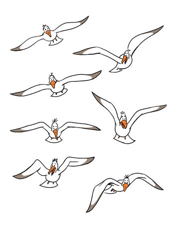 Sea Gulls Flyingの写真素材