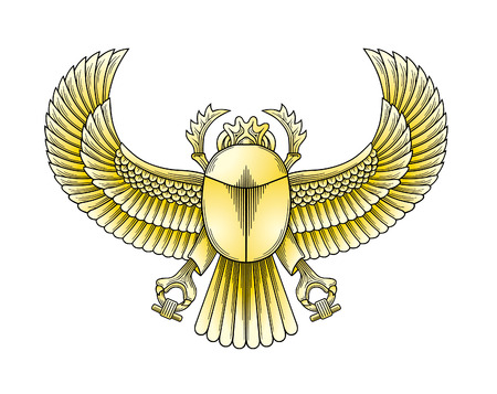 Scarab vectorのイラスト素材