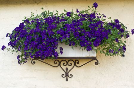 Beautiful classical design planter flowerpot on a bricks wallの写真素材