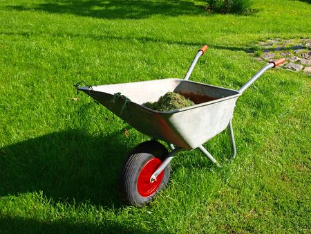 Gardening season - green lawn with wheelbarrow の写真素材