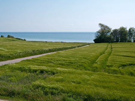 Spring summer green field with sea landscape backgroundの写真素材