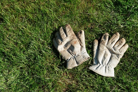 A pair of gardening gloves on green grass background                               の写真素材