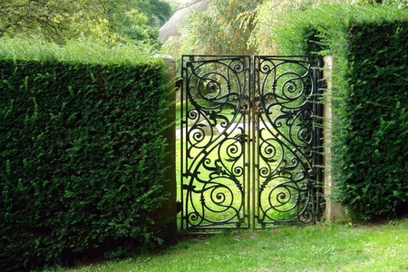 Classical design black wrought iron gate in a beautiful green gardenの写真素材