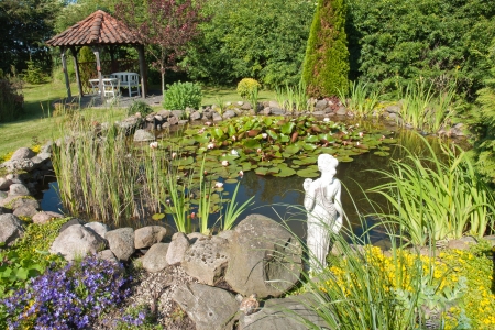 Beautiful classical garden fish pond with blooming water lilies gardening backgroundの写真素材