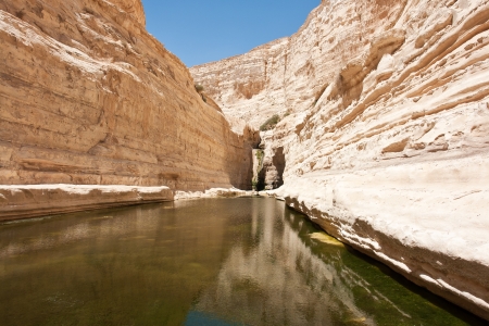 Oasis in the desert Nature Reserve Ein-Ovdat Israelの写真素材