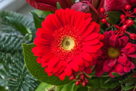 Beautiful bouquet arrangement of bright red flowers in closeup viewの写真素材