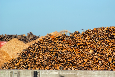 Stack of dried fire wood logs cut into chips for heatingの写真素材