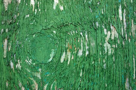 Abstract grunge wood paint texture great background image in bright colorsの写真素材
