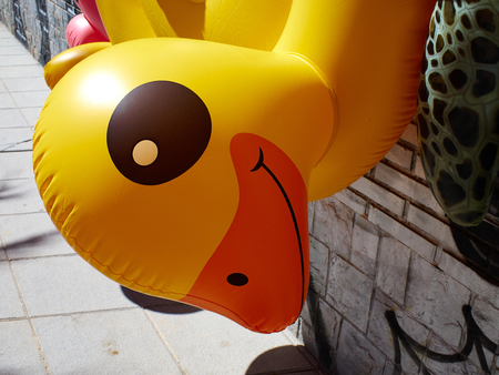 Ring yellow  inflatable pool beach toy duck for sale in summer resort marketの写真素材