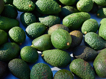 Natural freshly picked Avocado fruit  arranged for sale display display in a market shopの写真素材