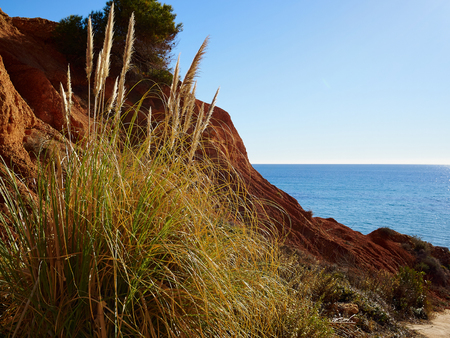 Popular summer travel destination the beach front of beautiful Campoamor Orihuela Coast Spainの写真素材