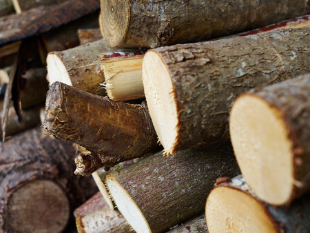 Stack pile of cut firewoodready for a long cold  winter season
