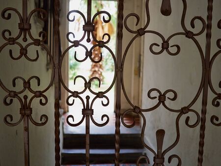 Details of a beautifully crafted curved wrought iron door gate with blurred yard in the background
