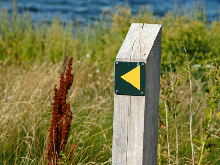 Nature walk trail in the middle of nature great help and guide for outdoors activity