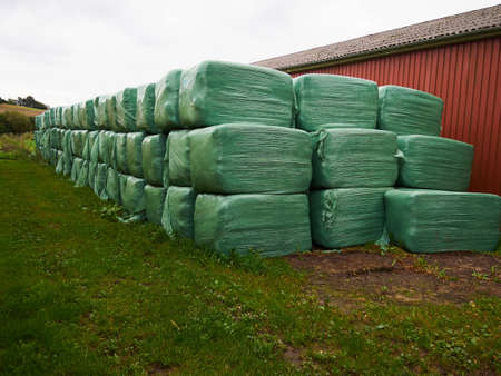 A group of green bales with hay fermenting in an agriculture farm yardの写真素材
