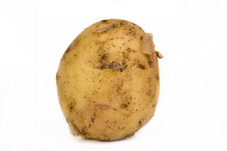 Potato isolated on white background High-resolution photographyの写真素材