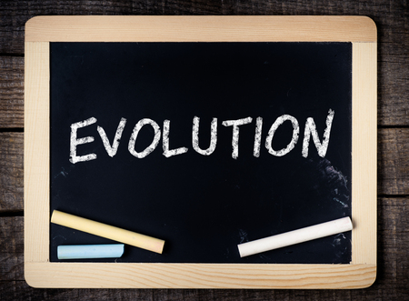 Evolution on a blackboard on wooden background の写真素材