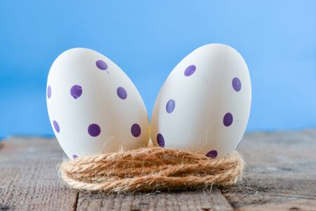 Colorful Easter egg in nestの写真素材