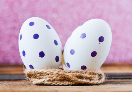 Colorful Easter egg in nestの写真素材