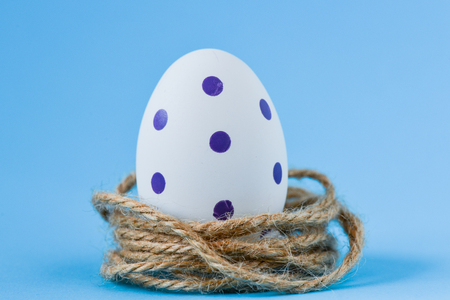 Colorful Easter egg in nestの写真素材