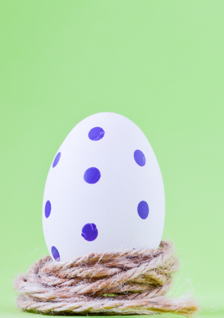 Colorful Easter egg in nestの写真素材