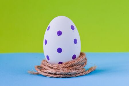 Colorful Easter egg in nestの写真素材