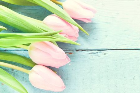 beautiful pink tulip flowers on wooden background, international women day conceptの写真素材