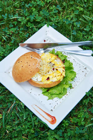Morning breakfast burger with scrambled eggs and cheese in nature