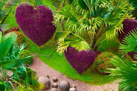 Wonderful beautiful park with beautiful views with flora and fauna research of plants and their formsの写真素材