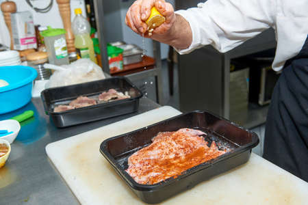 Dish from the chef grilled chicken from a professional preparationの写真素材