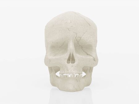 High resolution image white skull. 3d illustration over  white backgrounds.の写真素材