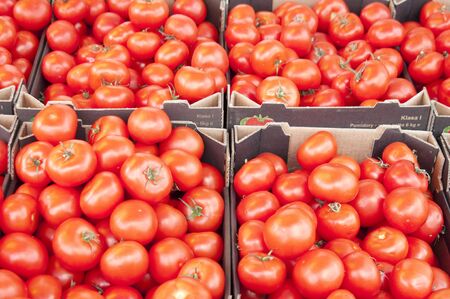 High resolution image. Ripe tomatoes on sale.の写真素材