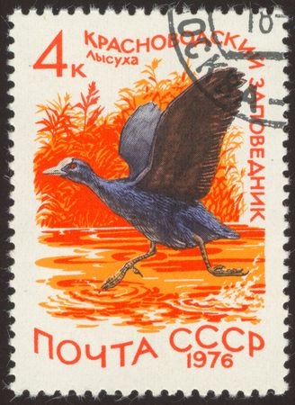 The scanned stamp. The Soviet stamp. The duck flies up from lake.の写真素材
